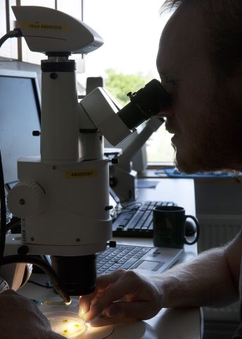 hennig-doktorand-labb.jpg
